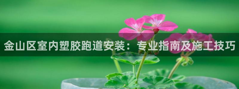 红足一1世皇冠登录：金山区室内塑胶跑道安装：专业指南及施工技巧