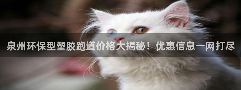 红足网足球直播：泉州环保型塑胶跑道价格大揭秘！优惠信息一网打尽