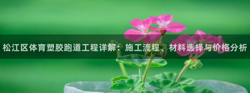 红世一足球比分：松江区体育塑胶跑道工程详解：施工流程、材料选择与价格分析