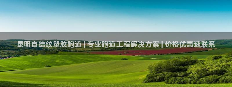 红足一1世比分球探