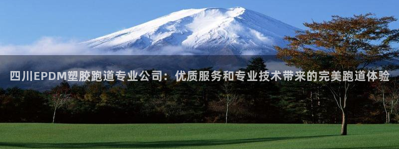 红足一1世官网足球推荐真人：四川EPDM塑胶跑道专业公司：优质服务和专业技术带来的完美跑道体验