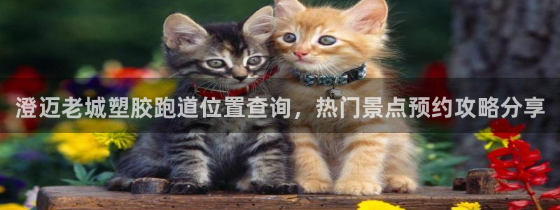 红足1一世 2站