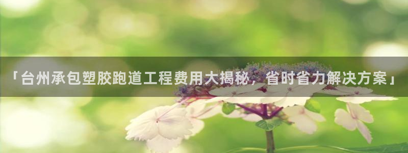 红足1世手机版下载：「台州承包塑胶跑道工程费用大揭秘，省时省力解决方案」