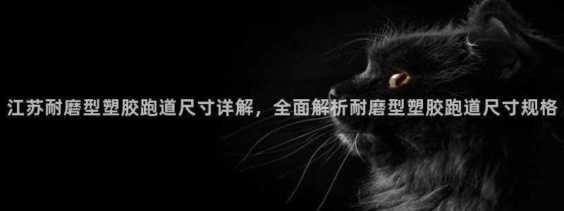 777814红·足一世比分篮球：江苏耐磨型塑胶跑道尺寸详解，全面解析耐磨型塑胶跑道尺寸规格