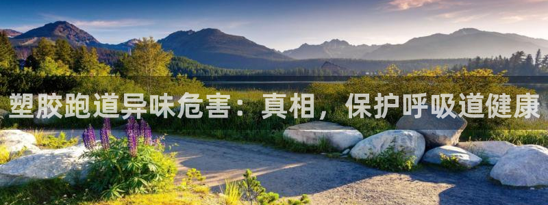 红足1世足球网址大全：塑胶跑道异味危害：真相，保护呼吸道健康