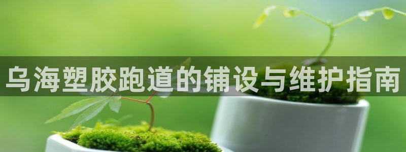 红足一1世手机皇冠：乌海塑胶跑道的铺设与维护指南
