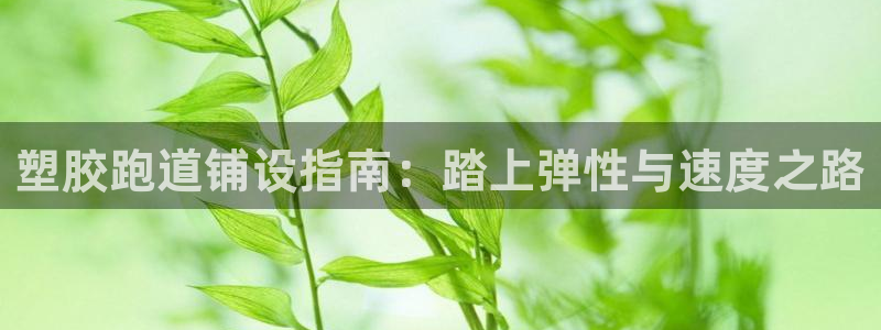 红足1世足球比分网址
