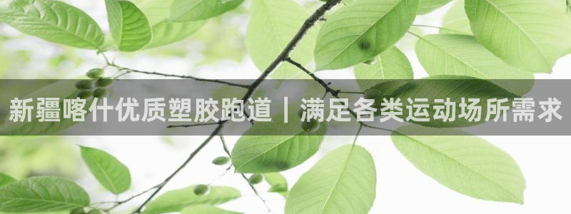红足一1世666814最新结果：新疆喀什优质塑胶跑道｜满足各类运动场所需求