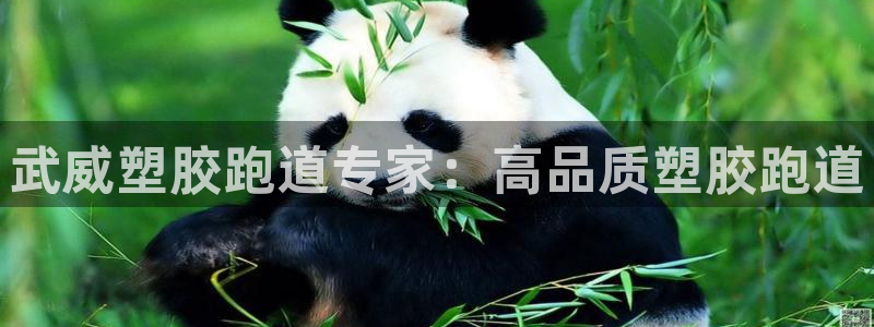 红足1世足球比分 localhost：武威塑胶跑道专家：高品质塑胶跑道
