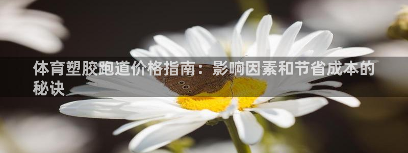 红足1世手机版下载