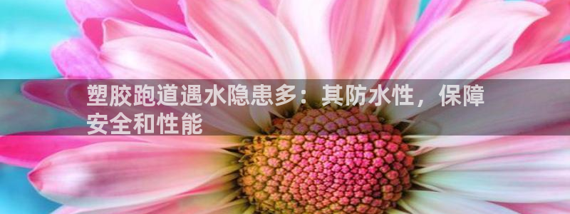 红足1一世开奖版：塑胶跑道遇水隐患多：其防水性，保障
安全和性能