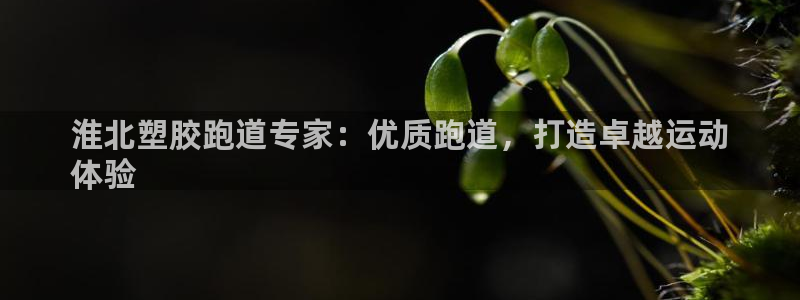 红足一1世66814：淮北塑胶跑道专家：优质跑道，打造卓越运动
体验