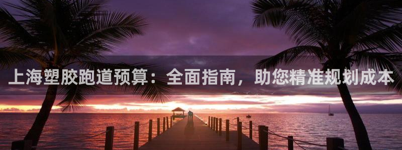 666814红·足一世比分：上海塑胶跑道预算：全面指南，助您精准规划成本