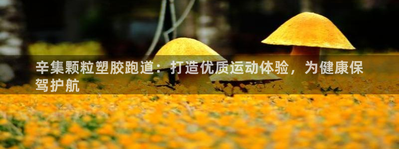 红足一1世手机开奖：辛集颗粒塑胶跑道：打造优质运动体验，为健康保
驾护航