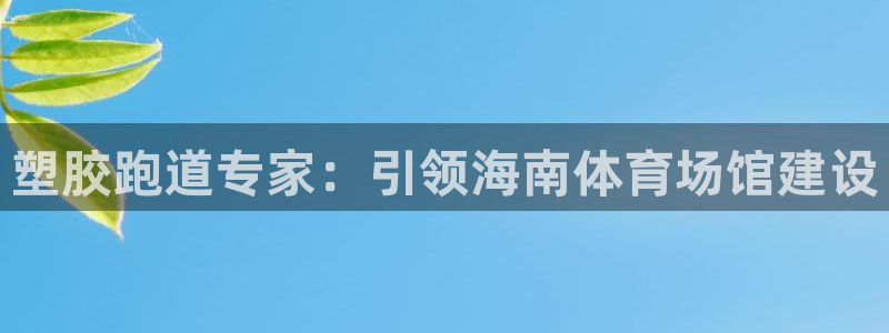 红足1世手足球比分：塑胶跑道专家：引领海南体育场馆建设