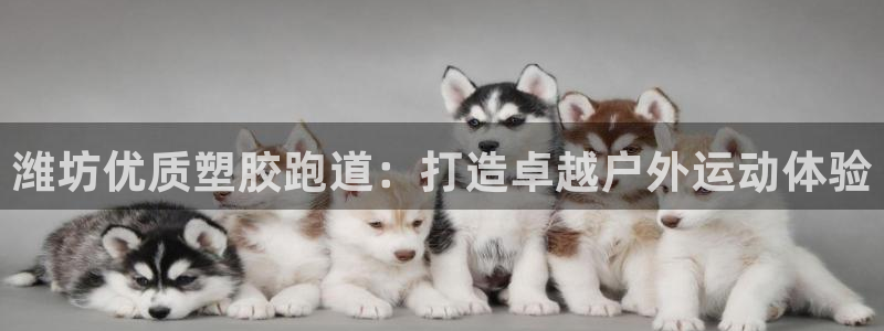 红足一一世足球网开奖记录：潍坊优质塑胶跑道：打造卓越户外运动体验