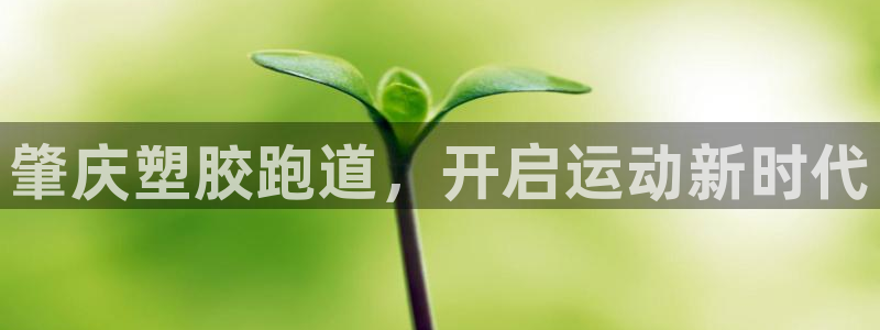 百度红足一1是为什么：肇庆塑胶跑道，开启运动新时代