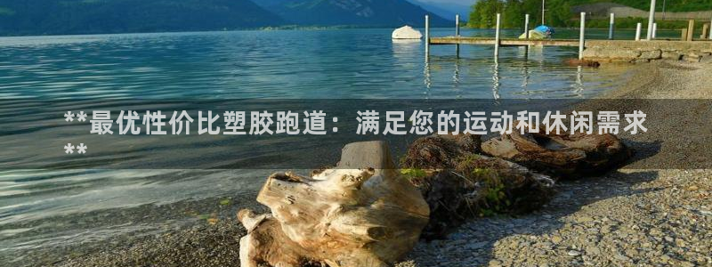 红足一1世手机版新皇冠：**最优性价比塑胶跑道：满足您的运动和休闲需求
**