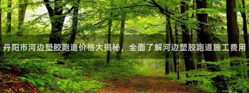 红足一1世手机开奖：丹阳市河边塑胶跑道价格大揭秘，全面了解河边塑胶跑道施工费用