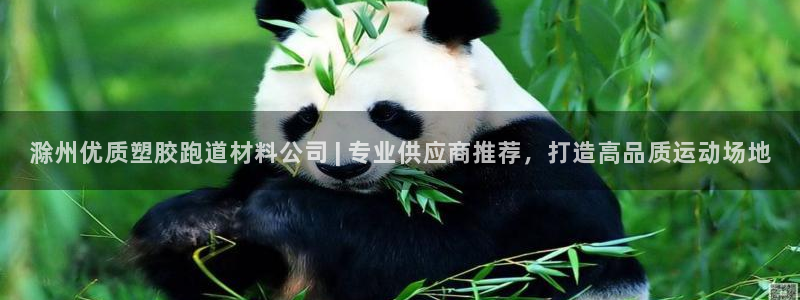 红足一1世