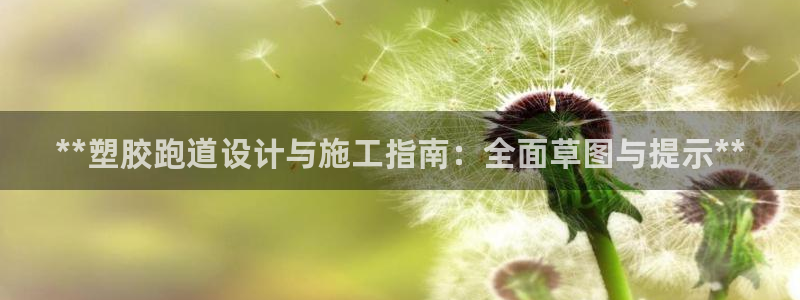 红世一足球比分：**塑胶跑道设计与施工指南：全面草图与提示**