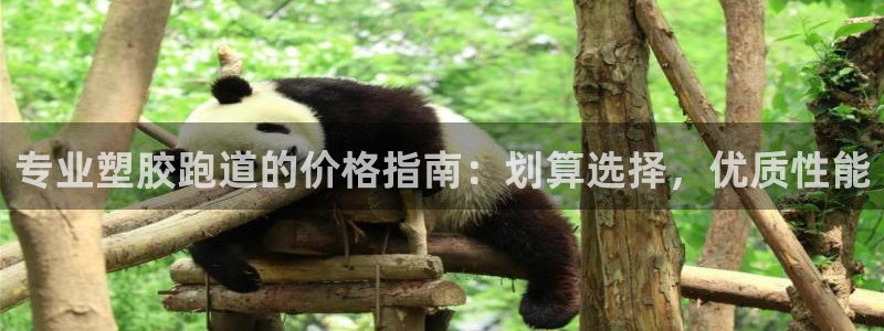 红足1世手足球比分：专业塑胶跑道的价格指南：划算选择，优质性能