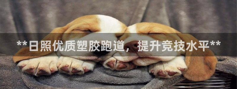 333814红足1世：**日照优质塑胶跑道，提升竞技水平**