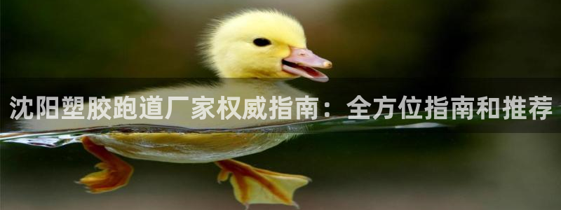 红足一1世比分：沈阳塑胶跑道厂家权威指南：全方位指南和推荐