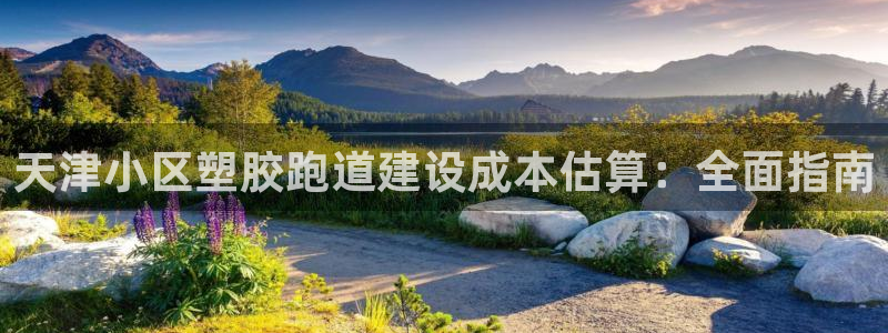 红姐现场直播开奖记录：天津小区塑胶跑道建设成本估算：全面指南