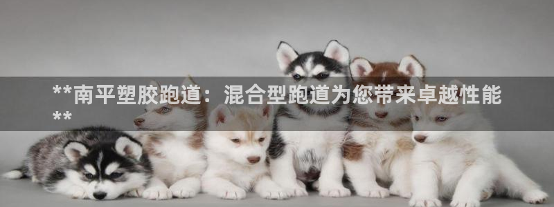 红足一1世官网：**南平塑胶跑道：混合型跑道为您带来卓越性能
**