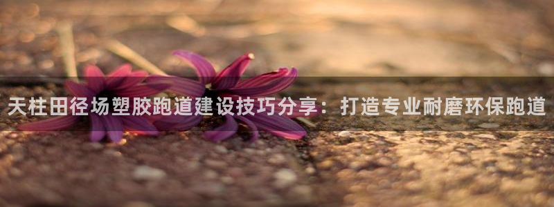 红世一足球比分：天柱田径场塑胶跑道建设技巧分享：打造专业耐磨环保跑道
