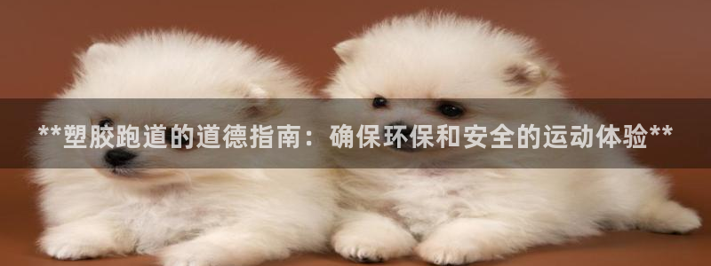 红足1世手机板：**塑胶跑道的道德指南：确保环保和安全的运动体验**
