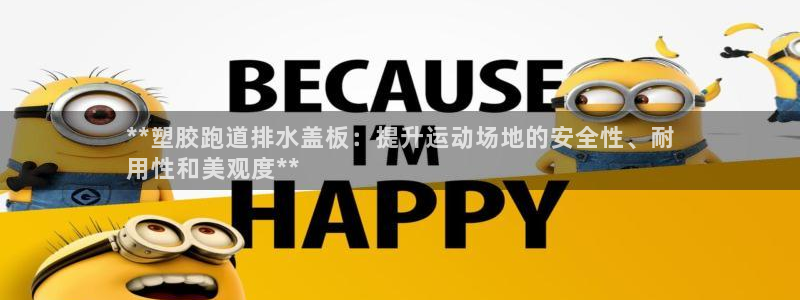 百度红足一1是干什么的：**塑胶跑道排水盖板：提升运动场地的安全性、耐
用性和美观度**